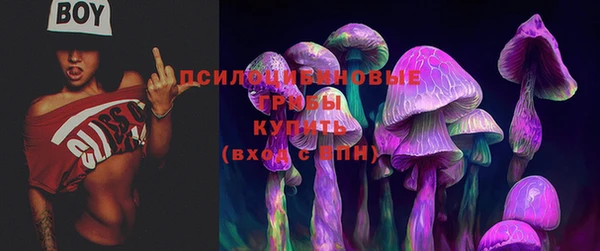 крисы Баксан