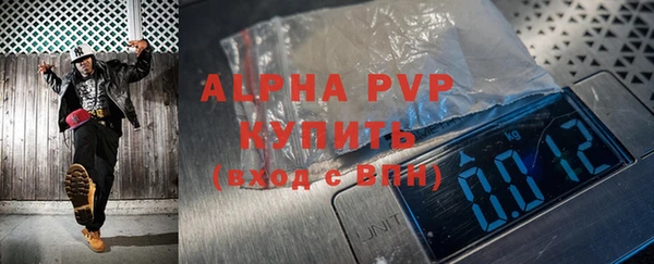 индика Балабаново