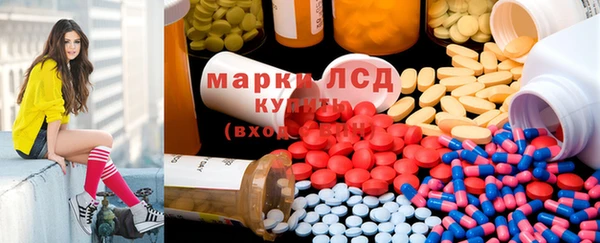 крисы Баксан