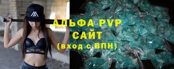 крисы Баксан