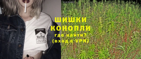 крисы Баксан