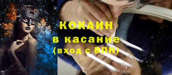 индика Балабаново