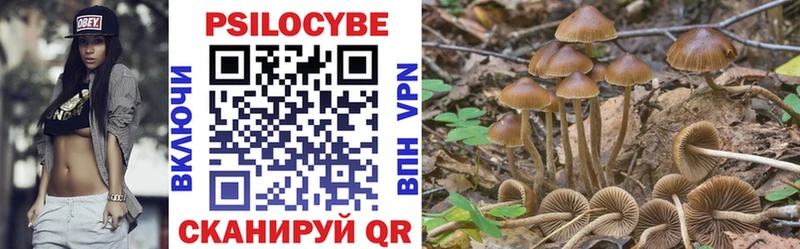 Псилоцибиновые грибы прущие грибы  Черногорск 